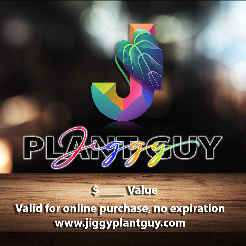 Jiggy Plant Guy Gift Card