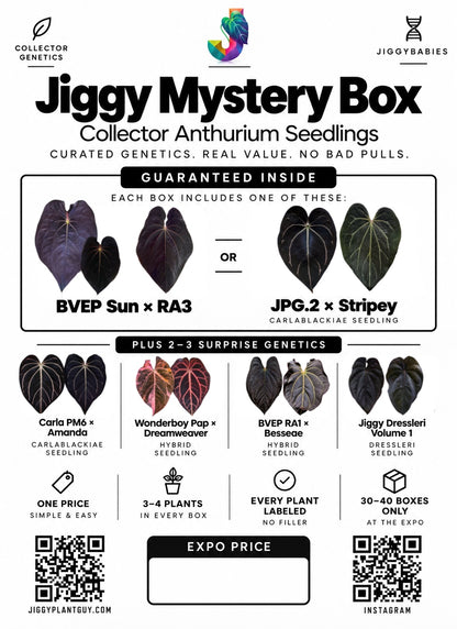 #Jiggybabies Mystery Box