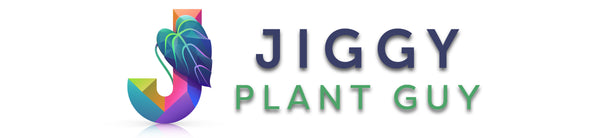 Jiggy Plant Guy