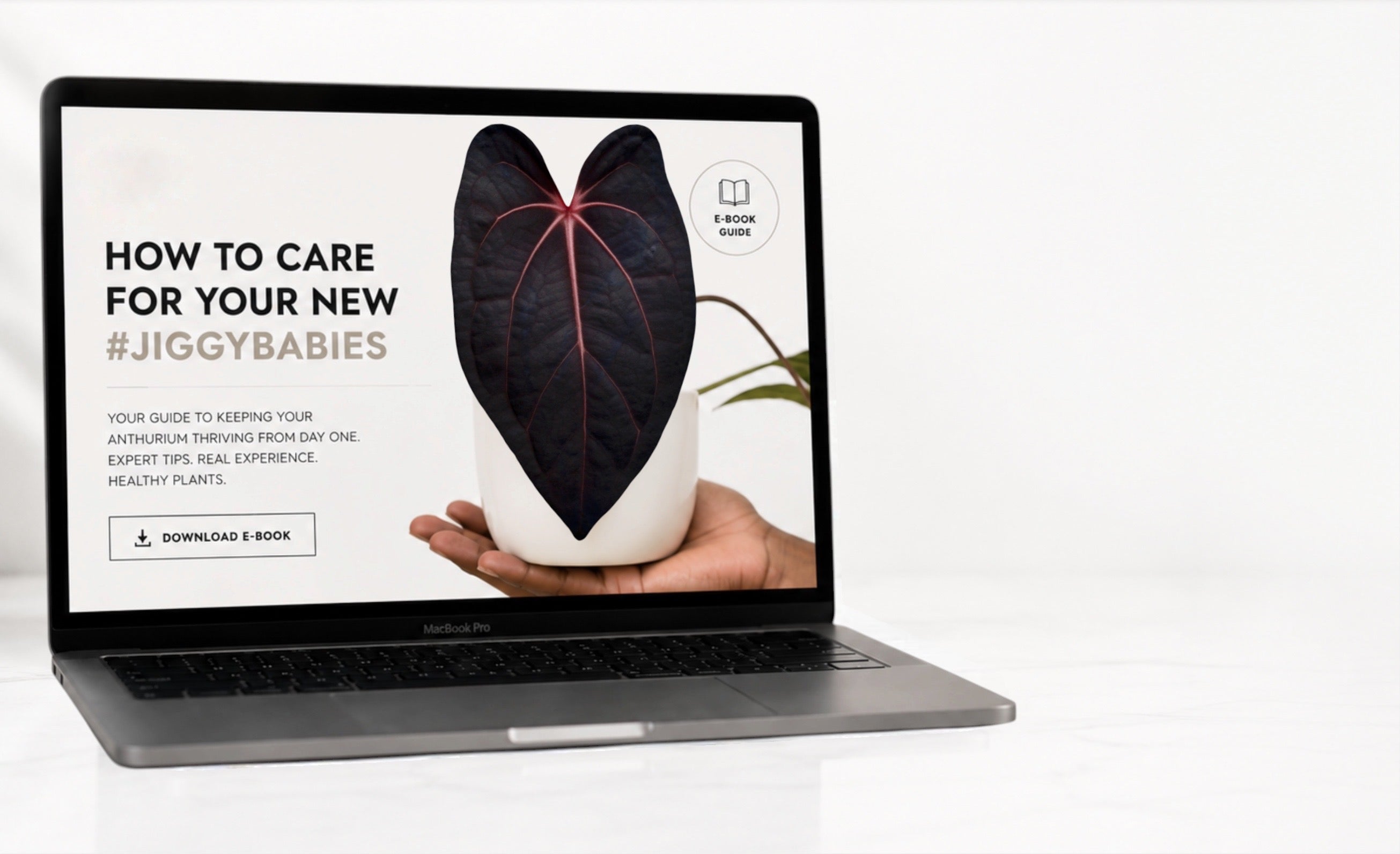 Jiggy Care Guide displayed on a MacBook Pro